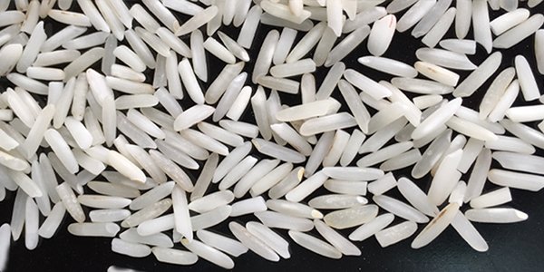 PK-386 long grain white rice from Pakistan supplied by Pak Agro Foods